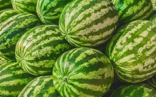 吃瓜第一网,吃瓜第一网带你领略明星幕后故事