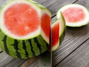 全网吃瓜网官网