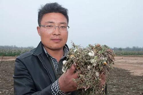 吃瓜网新闻报道亮点怎么写,最新热点事件亮点大盘点