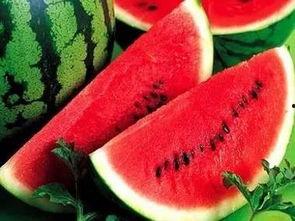 吃瓜那种网,揭秘网络热点背后的真相与娱乐