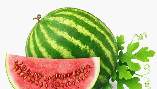 吃瓜qq入口网红有哪些,网红风云录