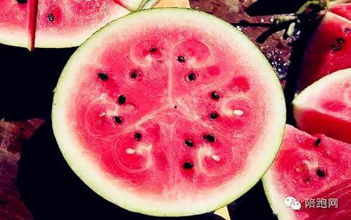 大魔王吃瓜网,揭秘娱乐圈幕后真相，带你领略明星们的真实生活