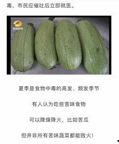 吃瓜网在线吃瓜免费,在线免费吃瓜，畅享娱乐盛宴