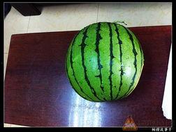 52吃瓜网张津,揭秘52吃瓜网幕后故事