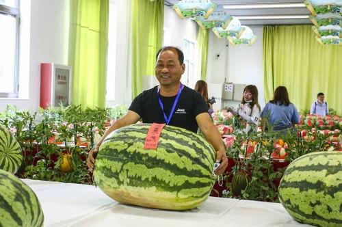 52吃瓜网张津,揭秘52吃瓜网幕后故事