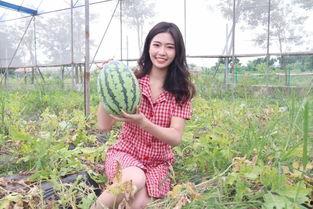 免费吃瓜福利网红,网红带你畅游娱乐圈