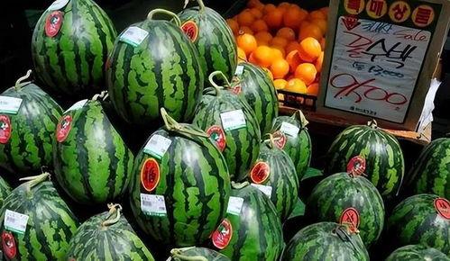 166.cn吃瓜网,揭秘娱乐圈最新热点，带你畅游八卦海洋