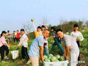 163吃瓜网,揭秘娱乐圈最新热点，带你领略明星幕后故事