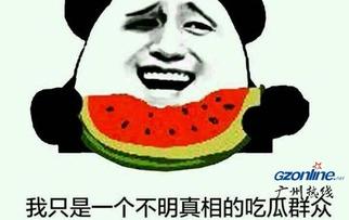 吃瓜网啥意思是什么,网络热词背后的文化现象