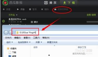 吃瓜网红音乐大全视频下载,一键下载收藏！