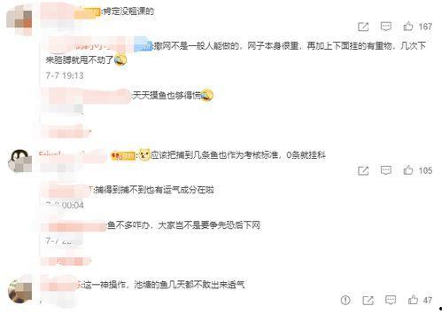 网课吃瓜是怎么回事,揭秘网络课堂中的趣味事件