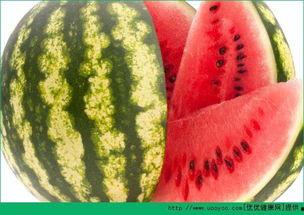 每天吃瓜网,揭秘娱乐圈幕后故事