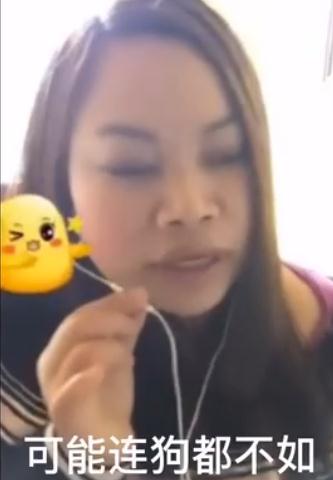 网红狗子张悦吃瓜视频,带你领略萌宠界的欢乐时光