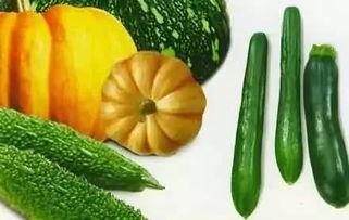 浚县网红吃瓜详情,揭秘背后真相与网络热议