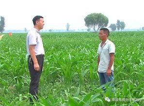 吃瓜网潍坊村干部,揭秘基层权力与民生关怀的冲突