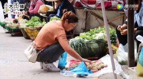 凯里网红吃瓜事件,揭秘网络舆论背后的真相与争议