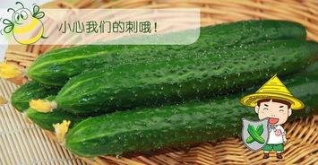 吃瓜网每天吃瓜,揭秘娱乐圈最新热点事件