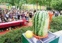 吃瓜网每日大赛入口murn,Murn带你领略精彩对决瞬间