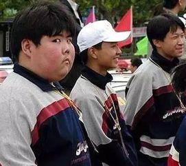 网红吃瓜的群众,揭秘娱乐圈幕后真相