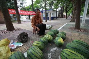 66吃瓜官网,揭秘娱乐圈最新热点，带你畅游八卦海洋