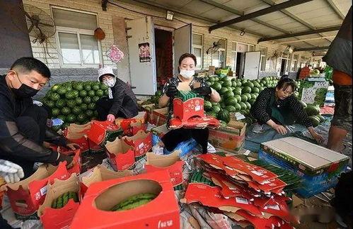 网红吃瓜群众图片真实,揭秘网络红人的幕后生活