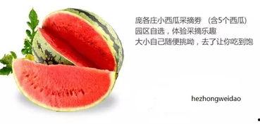 吃瓜群众在七零果冻网,揭秘吃瓜群众的网络狂欢盛宴