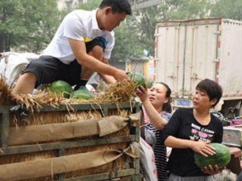雷州市网红吃瓜事件,揭秘网络舆论的风暴与真相