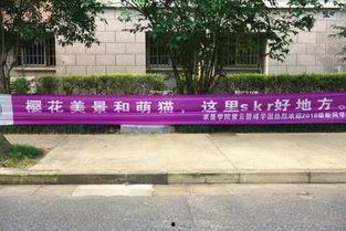 闽南理工学院网红学姐吃瓜,闽南理工学院校园风云录