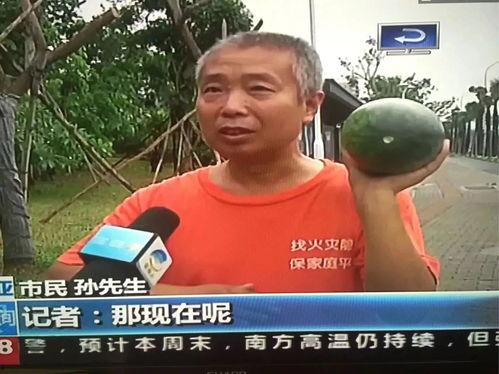 网红吃瓜事件赤木,赤木的瓜田奇遇记