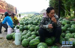 天台县网红吃瓜群微信
