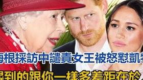 51gcw吃瓜群众网,揭秘娱乐圈幕后故事，带你走进明星真实生活