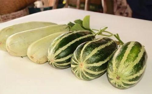 保定理工吃瓜网红,吃瓜群众眼中的校园风云人物