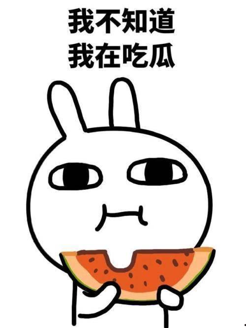 吃瓜网不能登录了吗