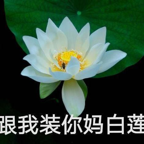 网红吃瓜头像插画图