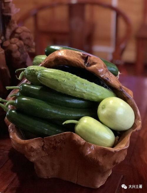 网红安安吃瓜,揭秘网红幕后生活点滴