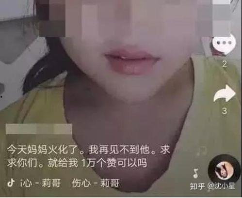 董赫女网红吃瓜视频