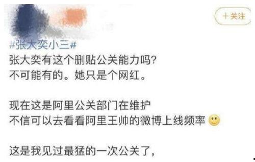 网红ceo吃瓜结果如何,揭秘幕后真相与行业反思