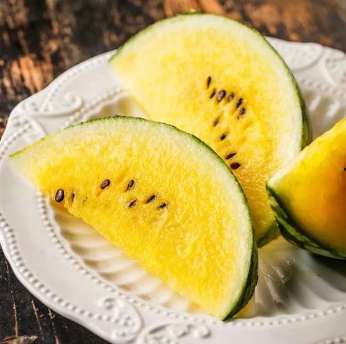 外网吃瓜专用网