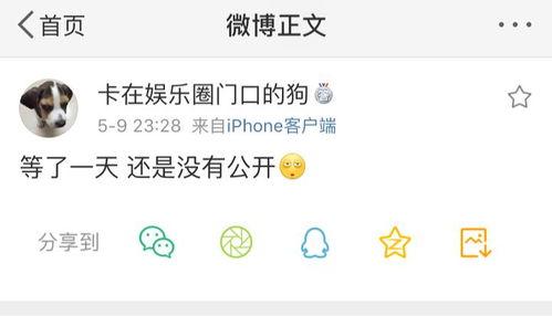 爆料吃瓜网911,事件背后真相大起底