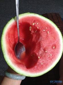 818吃瓜网西瓜视频,揭秘娱乐圈幕后故事