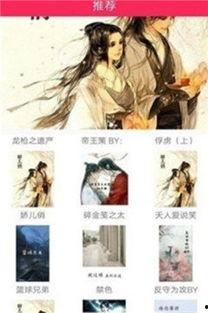 吃瓜网红全套小说,揭秘娱乐圈背后的秘密