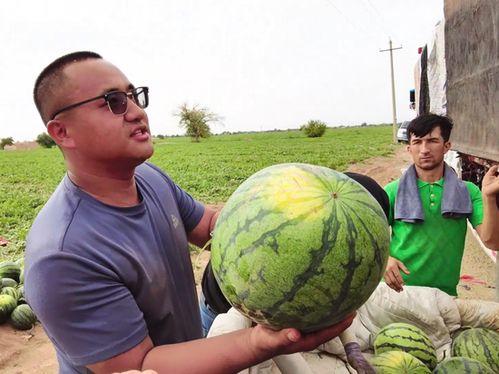 吃瓜网nn4.,带你领略网络世界的趣味与真相 第3张 吃瓜网nn4.,带你领略网络世界的趣味与真相 第3张