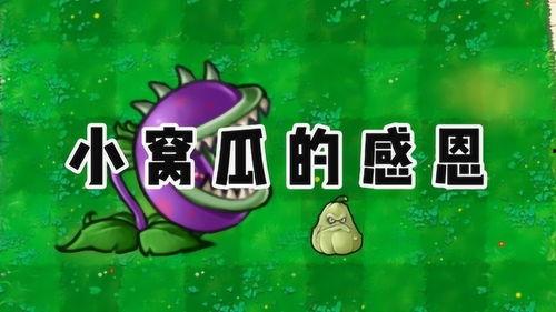 吃瓜爆料官网小僵尸怎么打,吃瓜爆料官网教你轻松应对 第2张 吃瓜爆料官网小僵尸怎么打,吃瓜爆料官网教你轻松应对 第2张