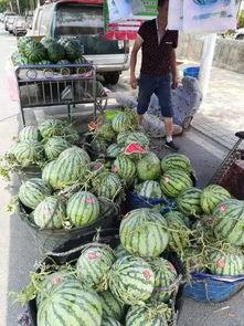 淄博探店网红吃瓜事件,揭秘网红美食背后的真相  第1张