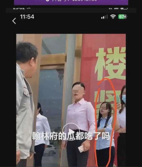 吃瓜网 翰林府女销售,揭秘豪宅销售背后的故事  第3张