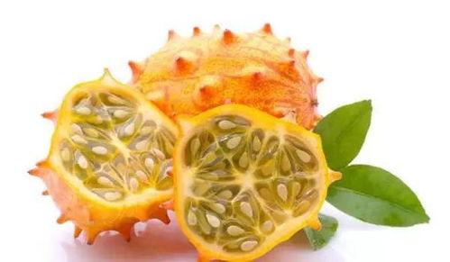 搜吃瓜网36wcc,揭秘搜吃瓜网背后的热门话题与热议事件  第3张