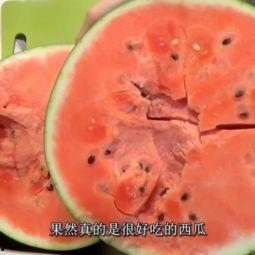 吃瓜大王网,吃瓜大王网带你领略明星幕后故事  第3张