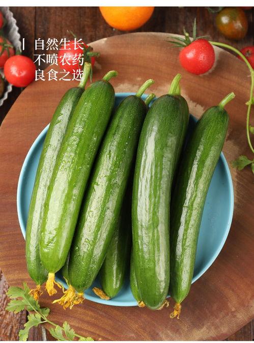 荷兰网红吃瓜视频大全  第3张