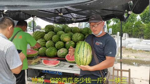 网红旅游吃瓜走红视频  第2张