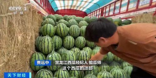 安平吃瓜网,揭秘娱乐圈幕后故事，带你领略明星真实生活  第2张